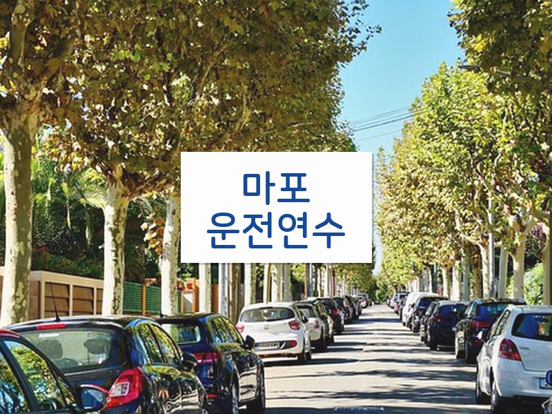 마포운전연수 후기