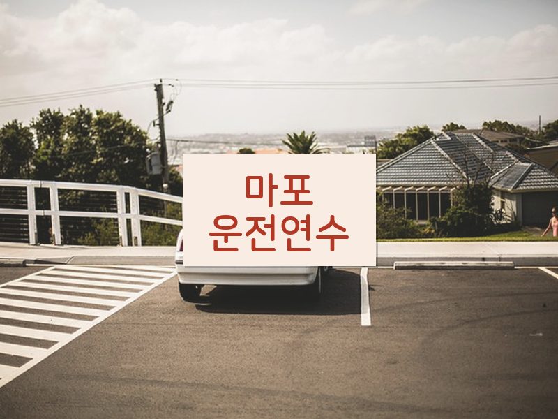 마포운전연수 후기