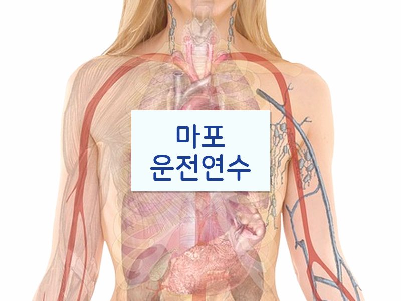 마포운전연수 후기