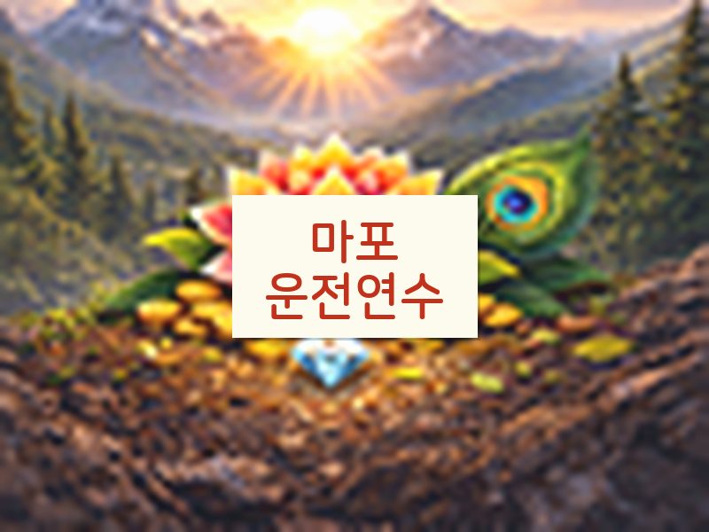 마포운전연수 후기