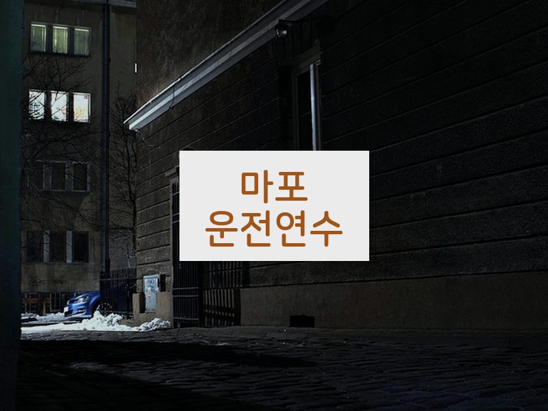 마포운전연수 후기
