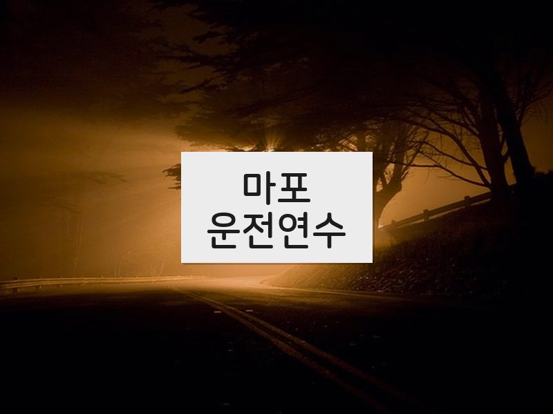 마포운전연수 후기