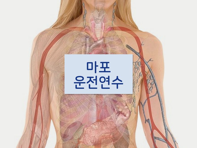 마포운전연수 후기