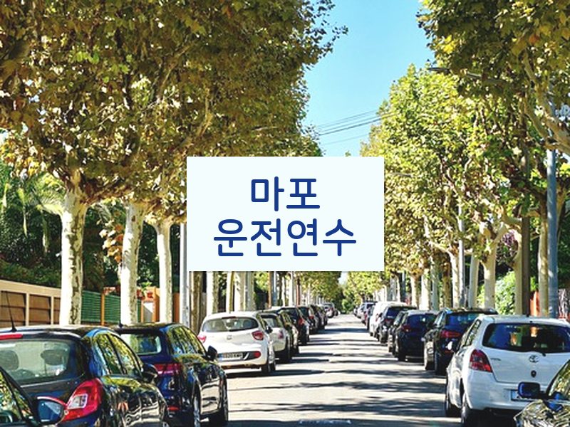 마포운전연수 후기