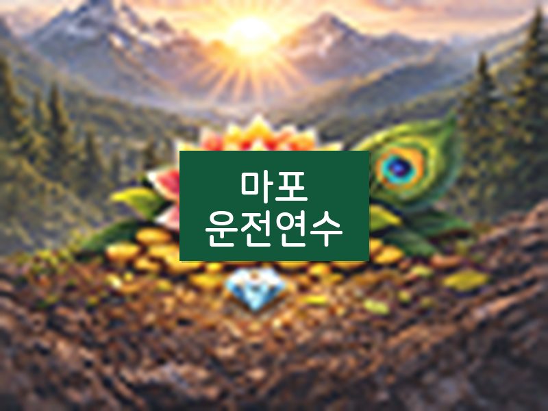 마포운전연수 후기