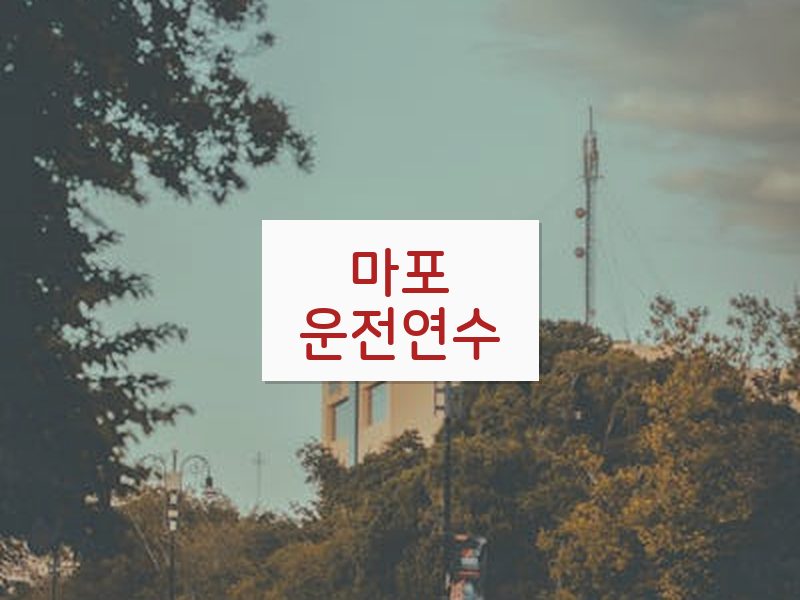 마포운전연수 후기