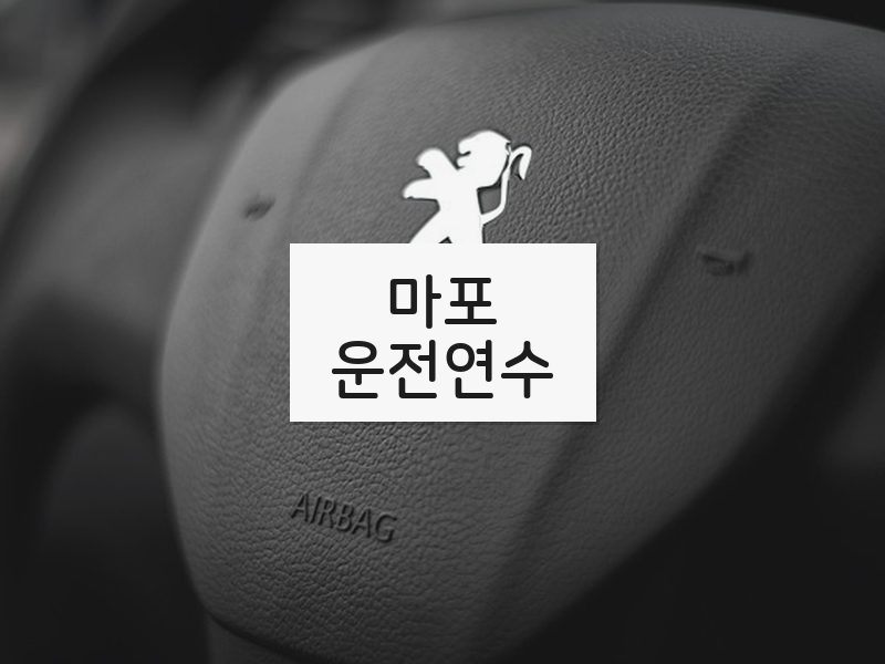마포운전연수 후기