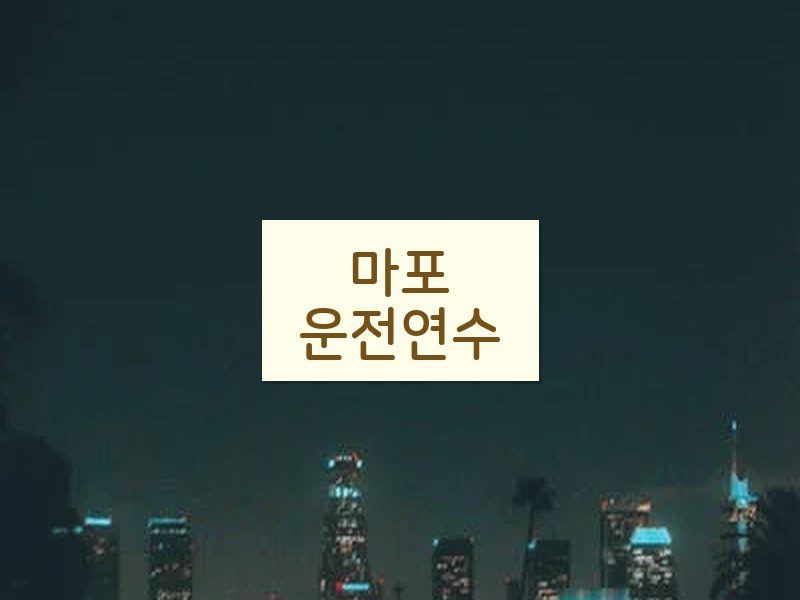 마포운전연수 후기