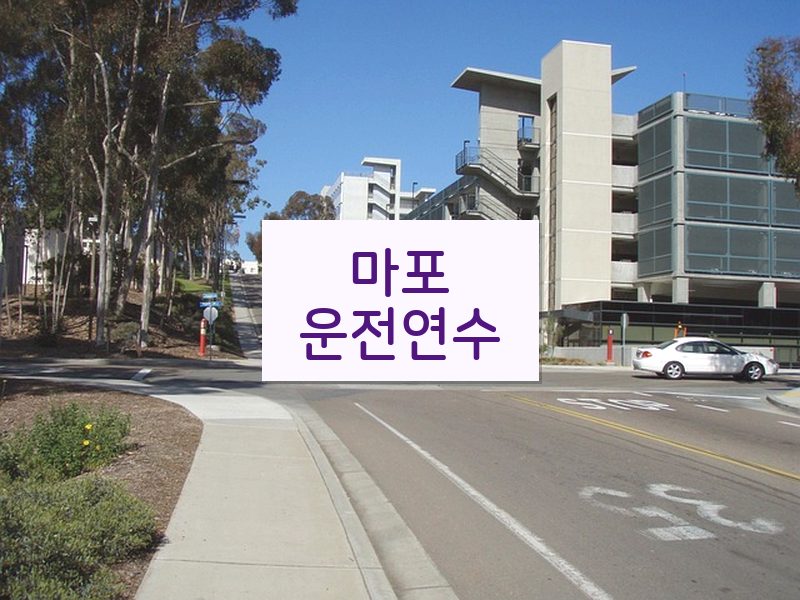 마포운전연수 후기
