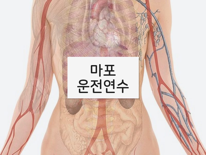 마포운전연수 후기