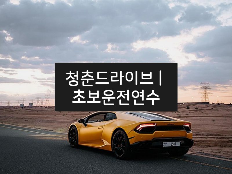 청춘드라이브 | 초보운전연수 후기