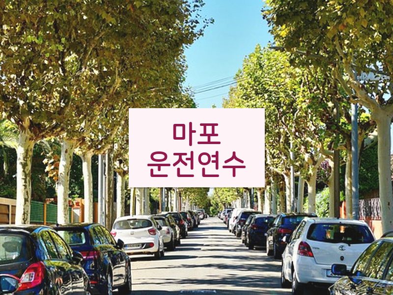 마포운전연수 후기