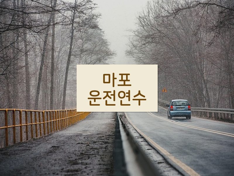 마포운전연수 후기