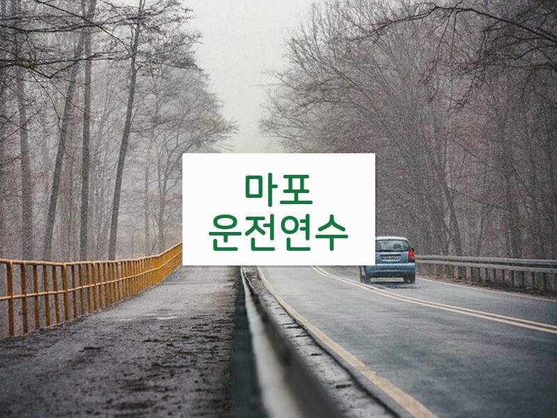 마포운전연수 후기