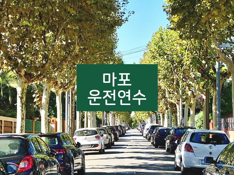 마포운전연수 후기