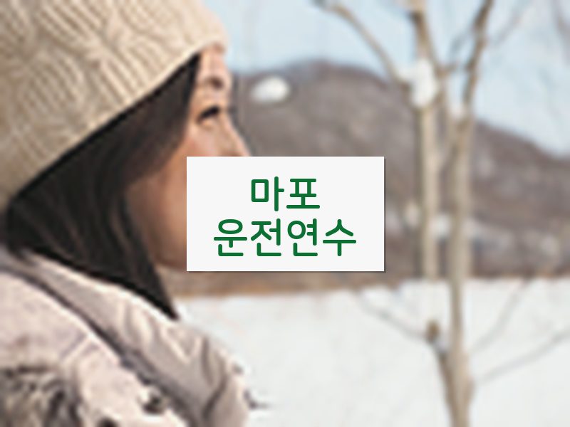 마포운전연수 후기
