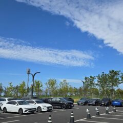 엄마 차로 운전하는 경험