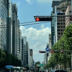 마포운전연수 초보도 할 수 있어요