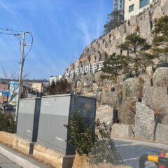 마포 운전, 이제는 안심해요