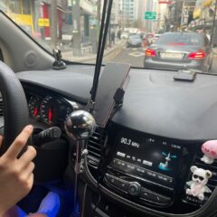 반려동물과 함께 운전 연습