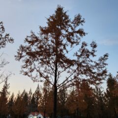 울산운전연수 어디서 받아야 하나요? 여기요!