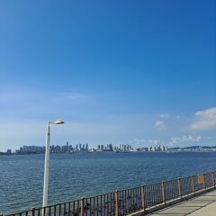 배우자 스케줄에 얽메인 삶