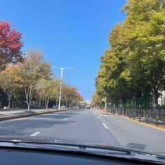 편의점 쇼핑은 혼자 다니는 게 진짜