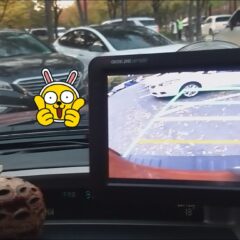 주말 드라이브의 행복