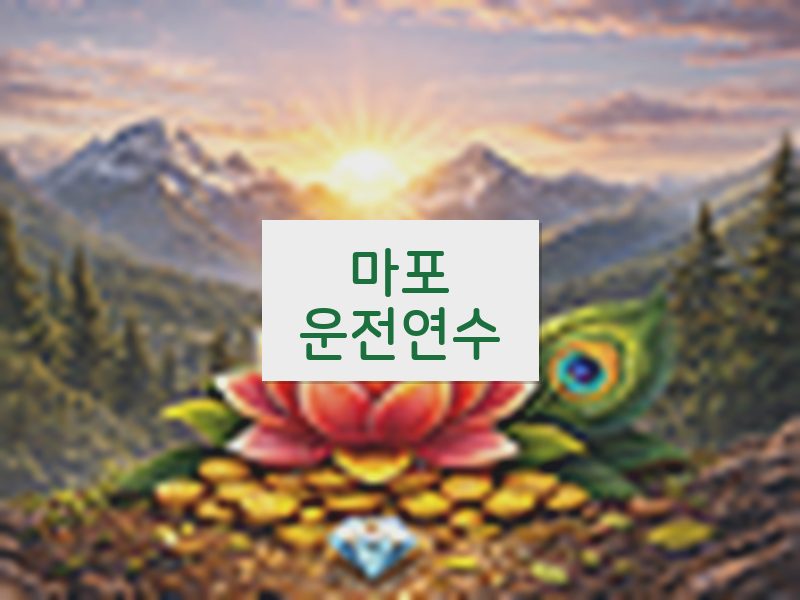 마포운전연수 후기